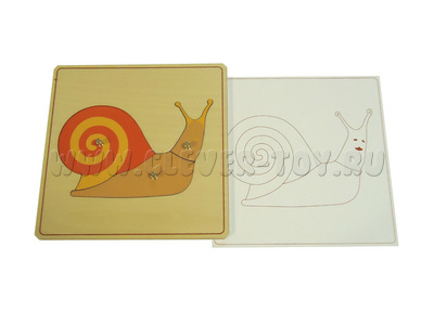 Строение улитки (дер.пазлы с контуром) Строение улитки (дер.пазлы с контуром)