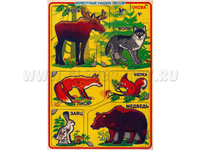 Рамки-вкладыши художественные "Животные наших лесов" Рамки-вкладыши художественные "Животные наших лесов"