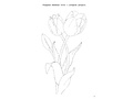 Тетрадь для общения и развития детей "Садовые цветы" Тетрадь для общения и развития детей "Садовые цветы"