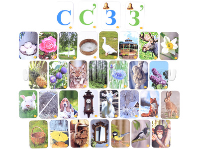 Набор магнитных карточек "Звуковозик" (С, З)