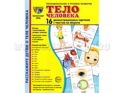 Демонстрационные картинки СУПЕР. Тело человека (16 шт.) Демонстрационные картинки СУПЕР. Тело человека (16 шт.)