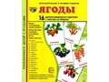 Демонстрационные картинки СУПЕР. Ягоды (16 шт.) Демонстрационные картинки СУПЕР. Ягоды (16 шт.)